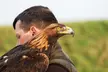Unforgettable Hawk & Golden Eagle Experiences - 1, 2 or 6 hours (Up to 79% Off) - Image 2