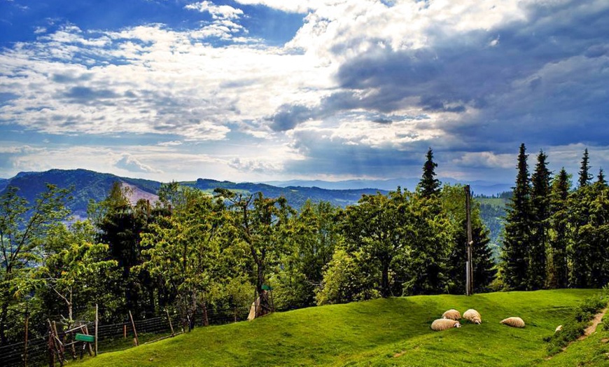 Image 22: Eberstein: 2-6 Nächte inkl. Halbpension und Parken