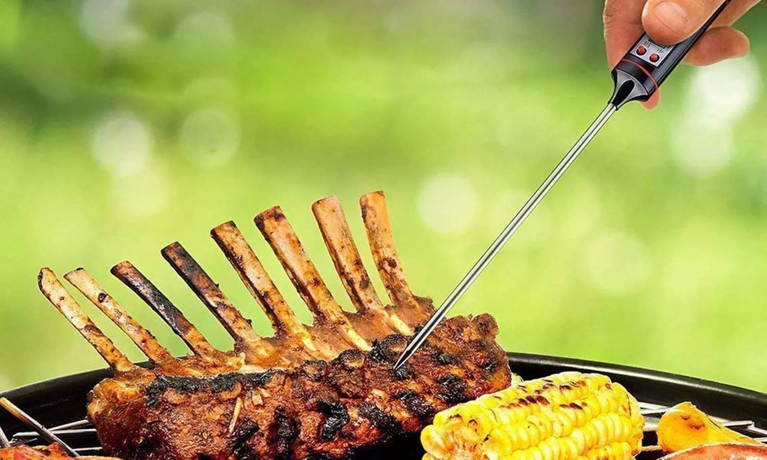 Lot de 2 thermomètres numériques de cuisine