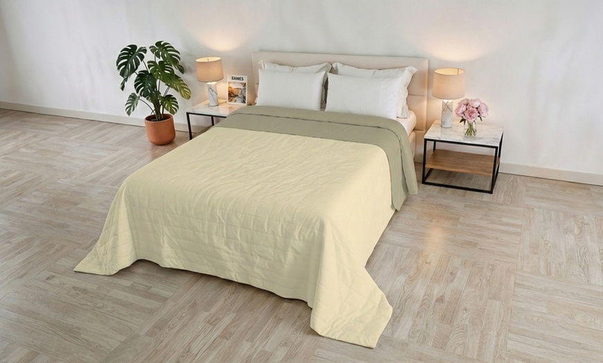 Image 3: Trapuntino Golia double face effetto Water Washed