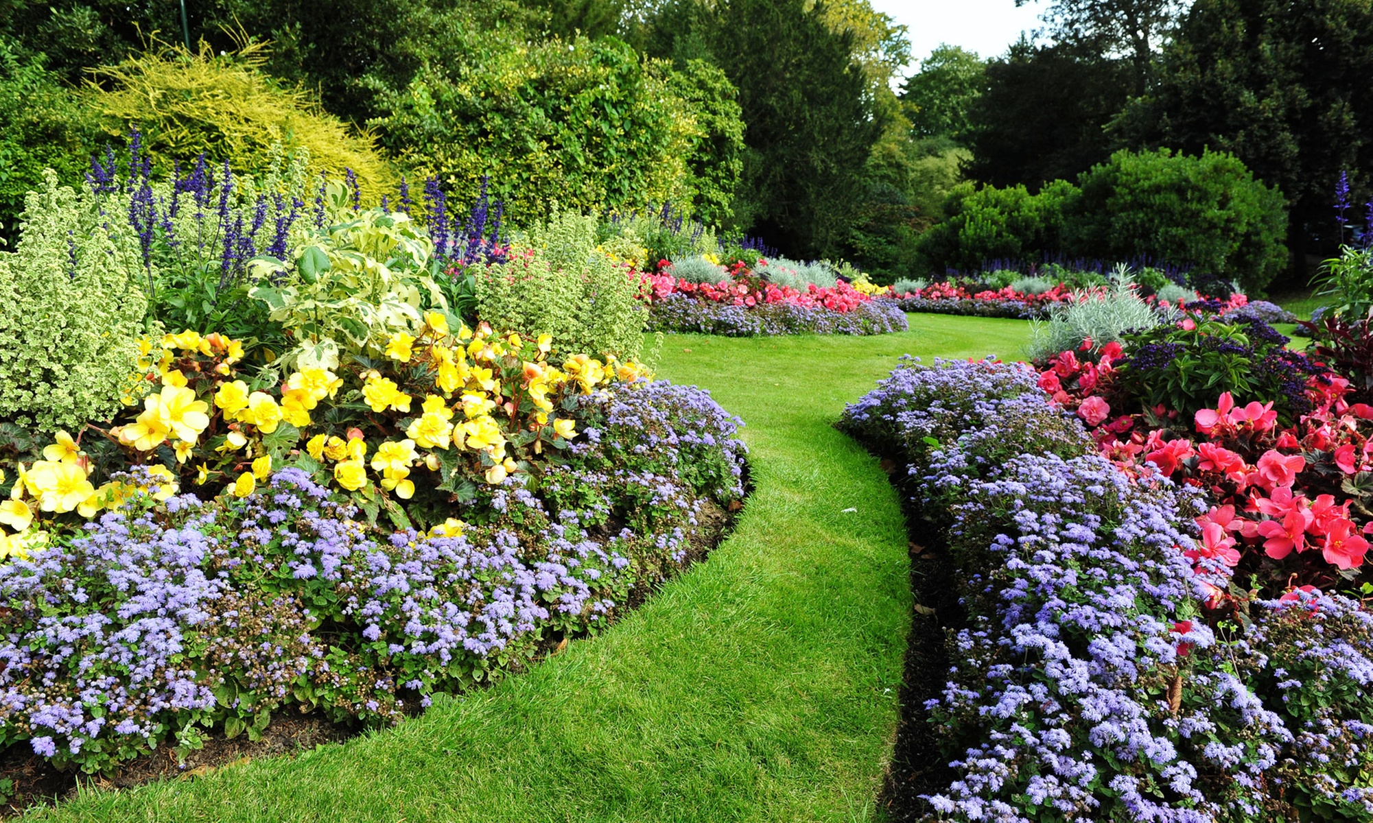 $149.00 for Landscape Design and Consulting from Your Yard Is A Garden Landscaping ($400.00 Value)
