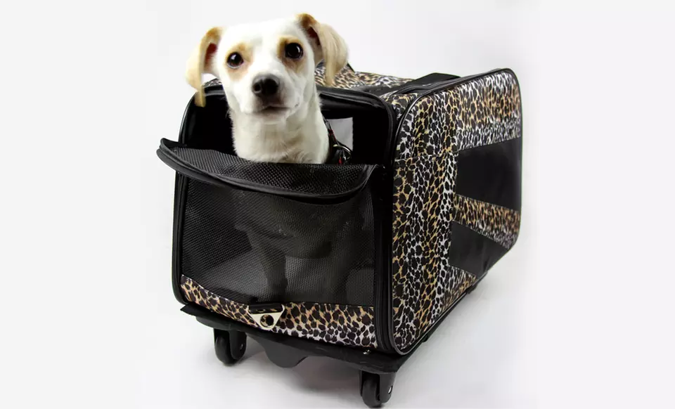 Collapsible Rolling Pet Cart From $37.99–$44.99 - Primary Image