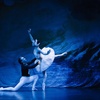 Image 7: „Swan Lake – Beyond the Stage“: Ticket vom 1.10. bis 5.10.2025