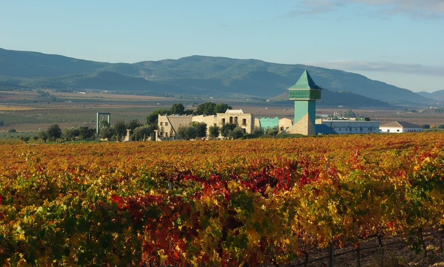 Image 7: Visita guiada a bodega con cata de 4 vinos, 2 AOVE y embutidos