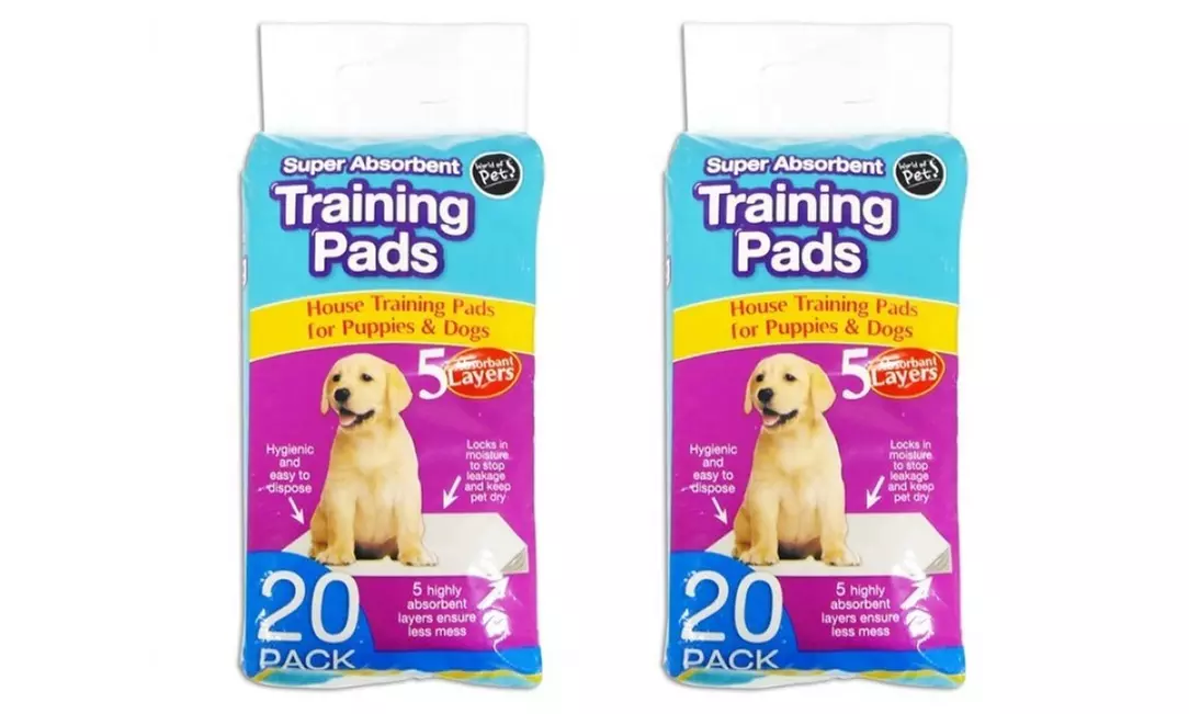 Lot de 20 ou 40 tapis de propreté pour chien - Image 3