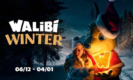 Billet adulte (+1m40) ou enfant (1m à 1m40) du 20/12/25 au 4/01/26 (hors 27/12) - Walibi Belgium