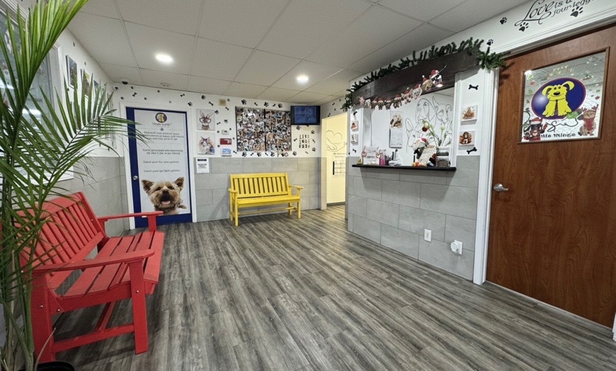 Image 9: Full Service or Doodle/Poodle Full Service Grooming Package for Dogs!