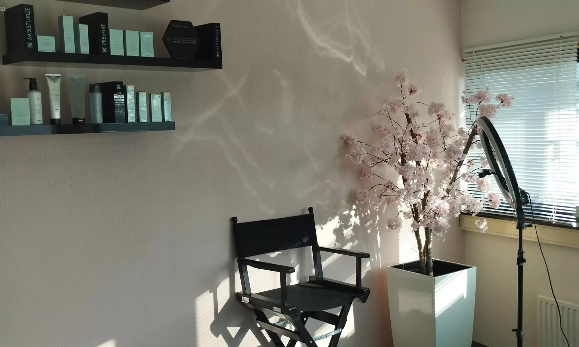 Wordt wakker met scherpe wenkbrauwen of verleidelijke lippen door PMU