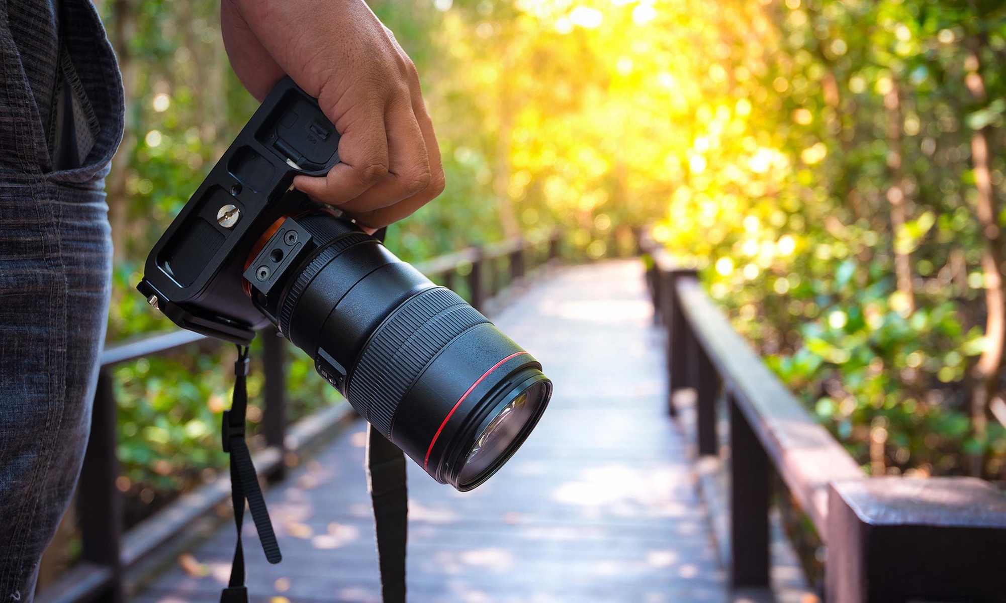 Get Stunning Wedding Preview w/ Food Tasting/EventKore Entertainment