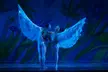 Nutcracker! Magical Christmas Ballet on December 11 at 7 PM - Second Medium
