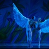Image 4: Nutcracker! Magical Christmas Ballet - Up to 30% Off