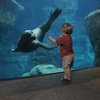 Image 2: Aquarium of the Pacific: Admission for All Ages Up to 33% Off