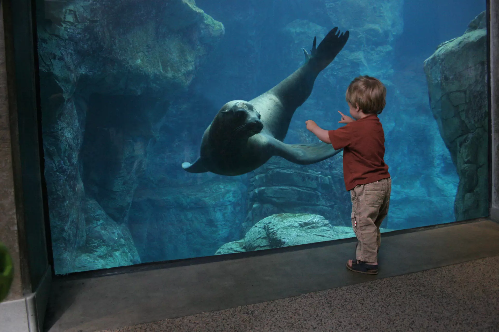 Aquarium of the Pacific: Admission for All Ages
