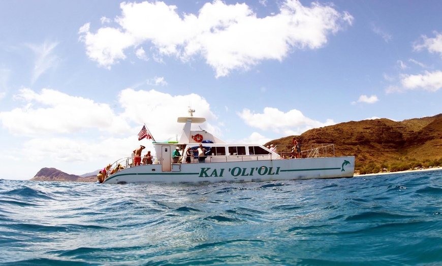 Image 3: Sunset Dolphin Watch & Snorkel Cruise with Dinner and Cocktails