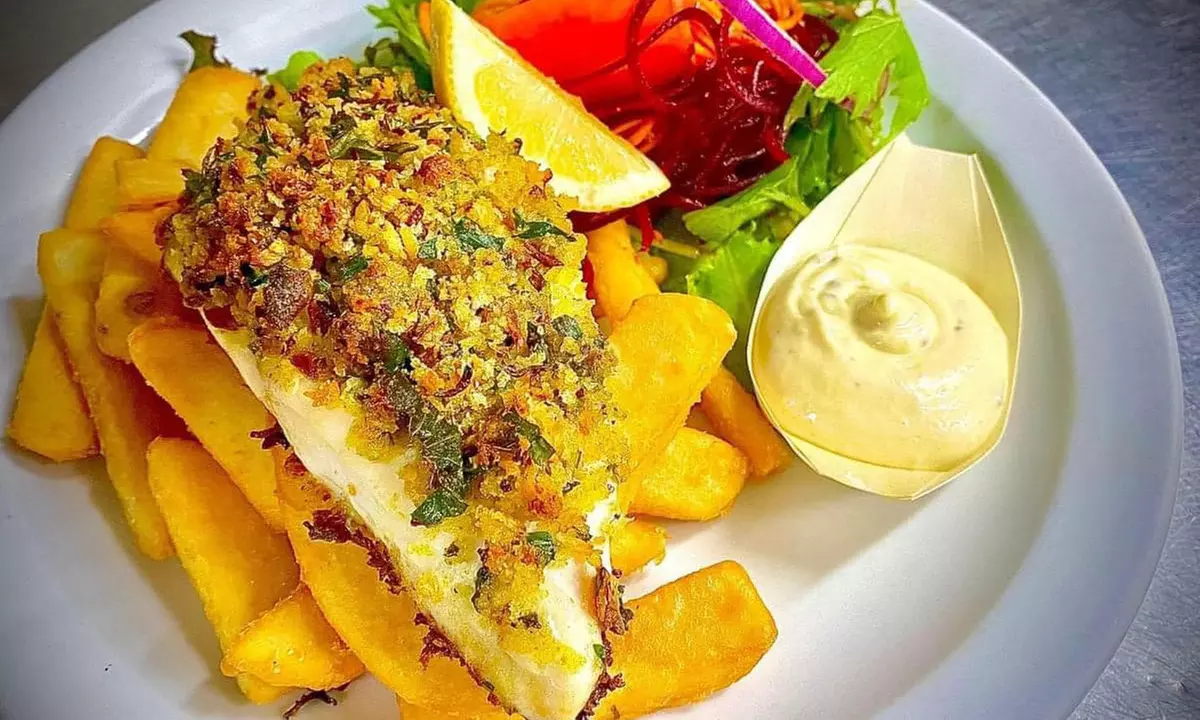 4Hour Broadwater Island Adventure Lunch Cruise