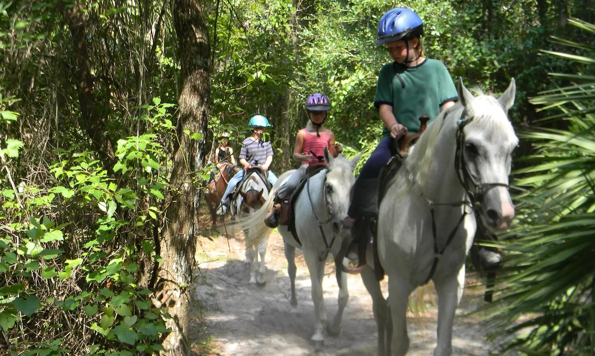 Discover Scenic Trails on a Private Summer Sundown Trail 1 Hour Ride 