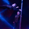 Image 8: Festival du cirque de Namur : édition anniversaire pour ses 20 ans
