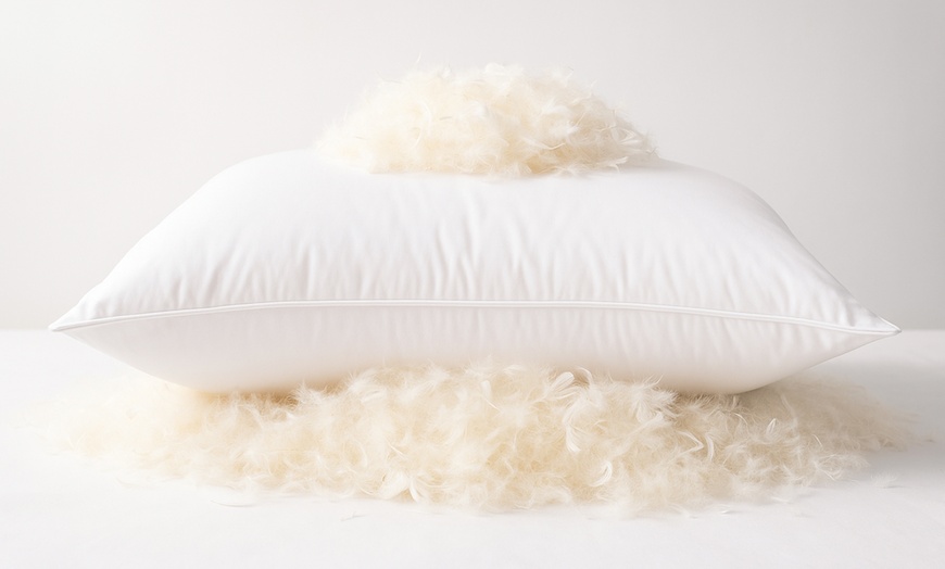 Image 1:  85% Goose Feather & 15% Down Pillows (Pack of 2)