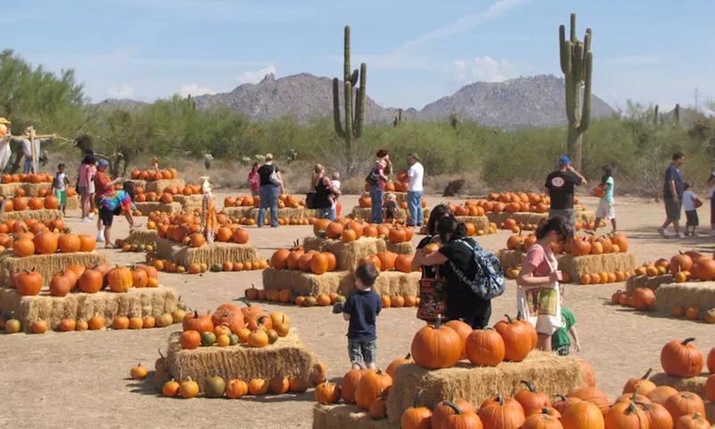 Fall Festival Admission for Two, Three, or Four at MacDonald's Ranch (Up to 25% Off) - Primary Image