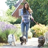 Image 4: Accredited Online Dog Walking Course - Save 91%!