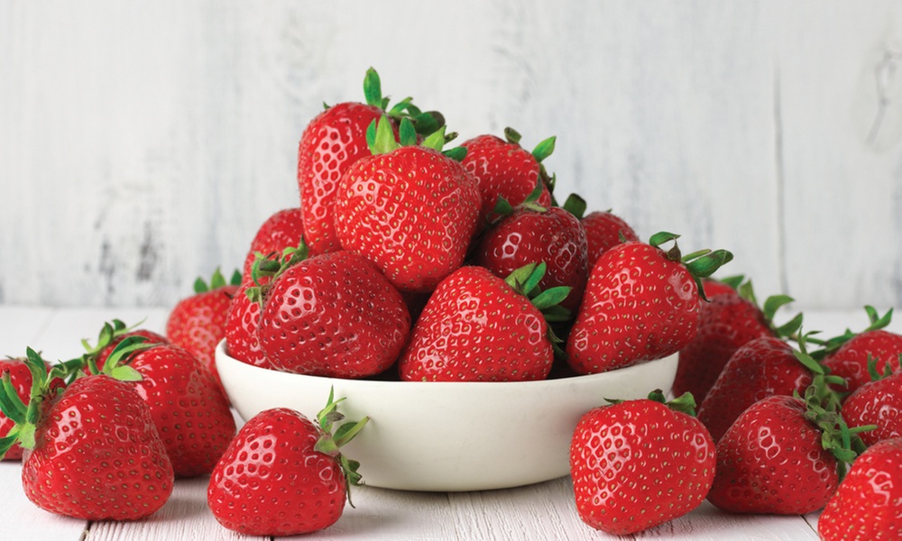 Strawberry 'Cambridge Favourite' 5, 10 or 20 Plants