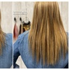 Image 4: Get Haircut, Condition & Blowdry + Single Process or Half Highlights