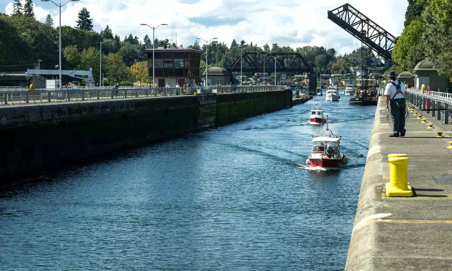 Discover Seattle's Highlights with a One-Day Tour
