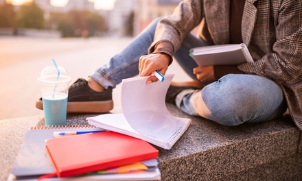 College Application Editing - Alternative & Supplemental Solutions