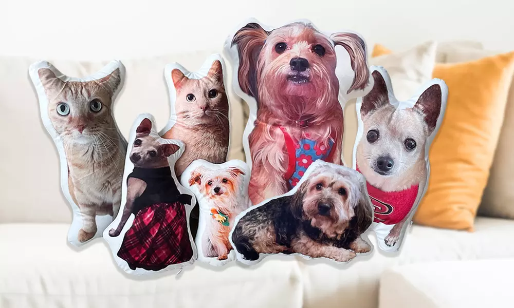 Gepersonaliseerd kussen/knuffel