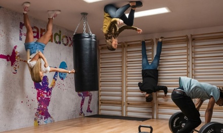 Child General Admission (Weekday Only) - Paradox Museum Miami