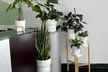 Unwind with a 60- or 90-Minute Choice of Massage at Monica Latrice LMT (Up to 39% Off) - Second Medium