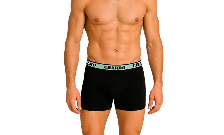 Image 5: Bis zu 12x Charro Herren-Boxershorts oder -Slips