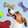 Image 3: One or Two Custom Pet Toys - Custom Frisbees or Bones Available!