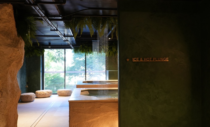 Image 2: Unwind With An Ice Bath And Sauna Wellness Session