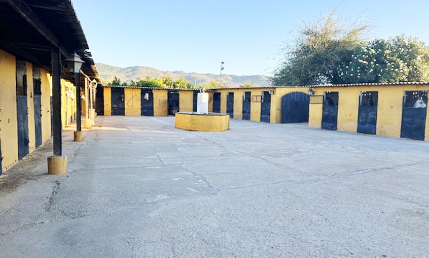 Image 4: Descubre la equitación con 6 clases de hípica para 1 o 2 personas