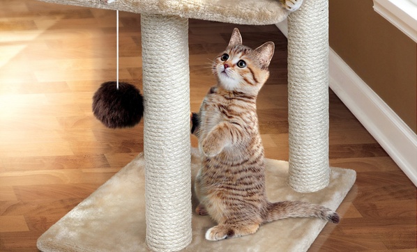 Animal planet cat tree sale