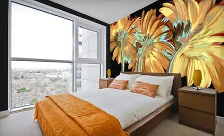 $49 for $150 Toward Murals from Murals Your Way - Primary Image