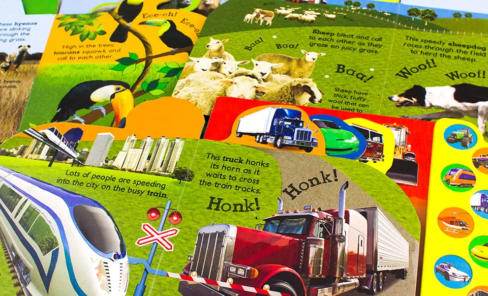 Discovery Kids Giant Board Books with Sounds 3-Pack - Second Medium