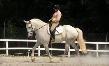 One or Two Private Horse-Riding Lessons at Countyline Equestrian Center in Louisburg - Primary Image