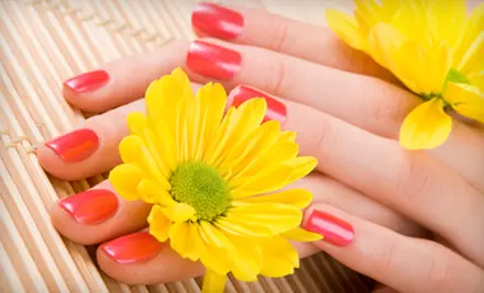 Mani-Pedi at Camelot Salon & Spa in Coral Gables. Three Options Available. - Primary Image