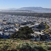 Image 17: SF's WildSide, Redwood & Hike or Golden Gate Park's Hidden Gems Tour