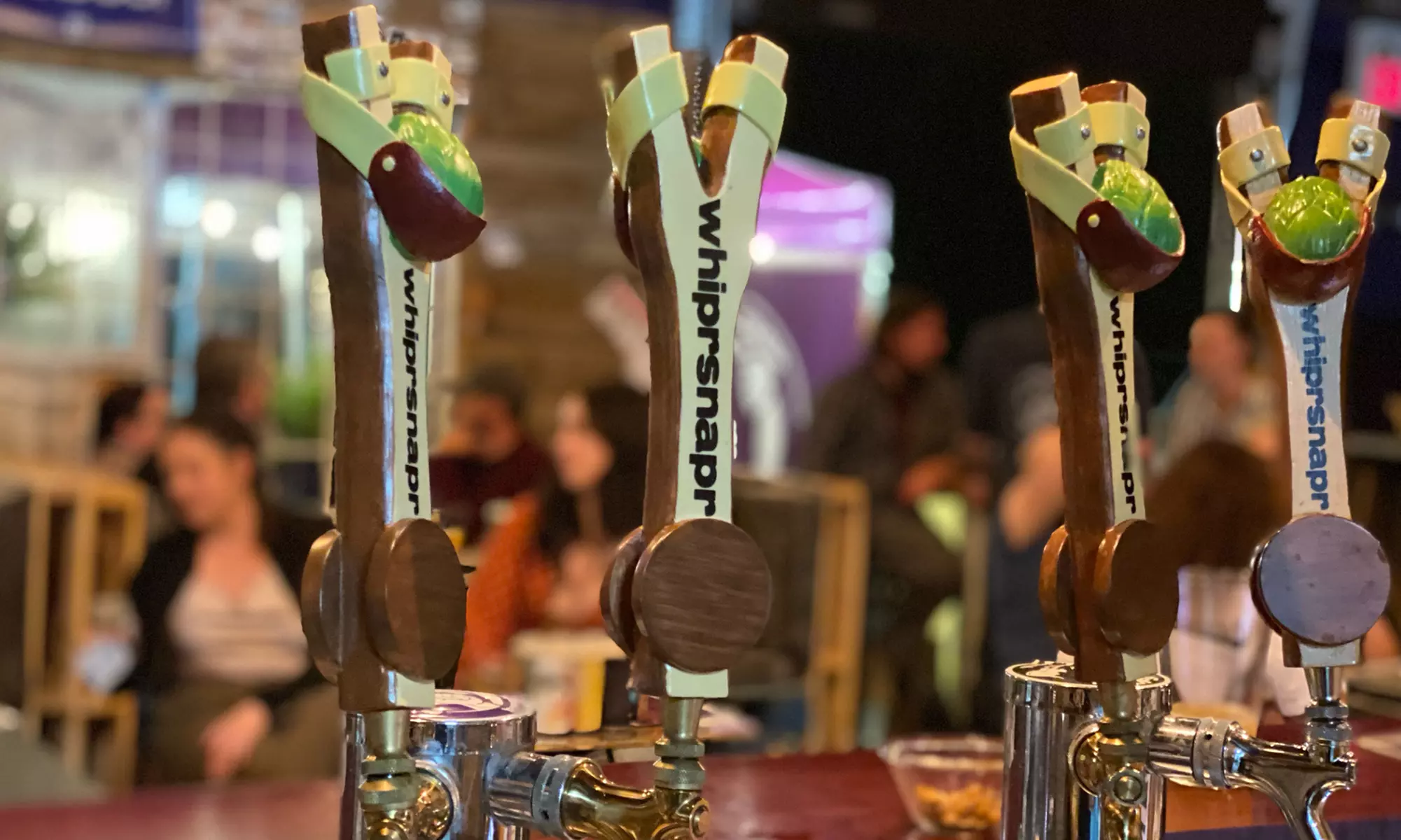 Up to 54% Off on  at Whiprsnapr Brewing Company - Primary Image
