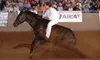 Trail Ride for Two, or Friday or Weekend Day Horsemanship-Clinic Outing at Five Star Ranch in Campbellville (Up to 53% Off)