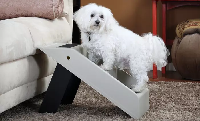 Pet Store Portable Folding Pet Steps - Primary Image