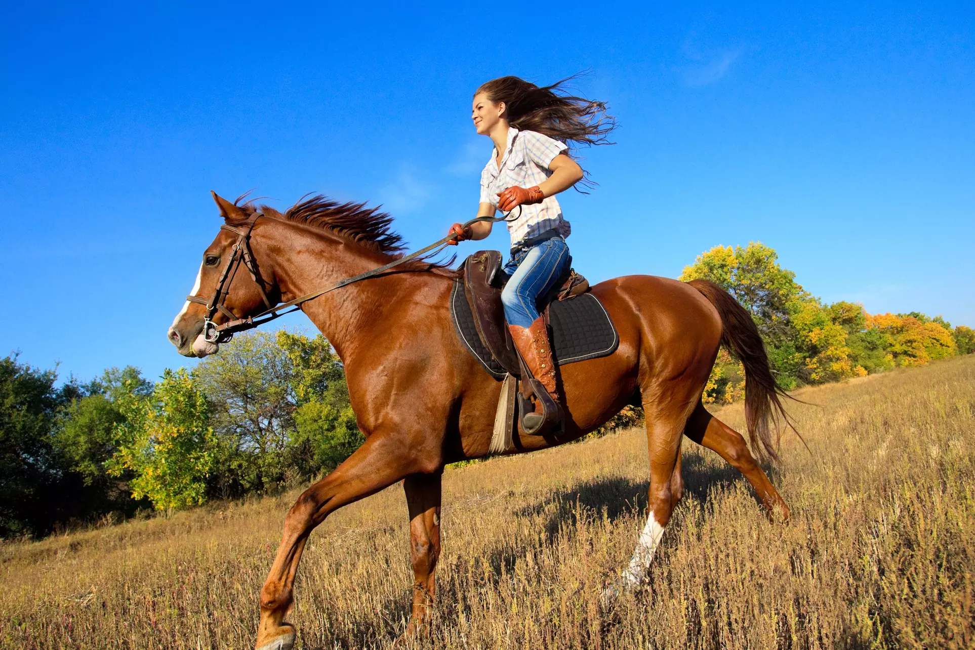 One-Hour Horseback-Riding Lesson at RME Equestrian (45% Off) - Primary Image
