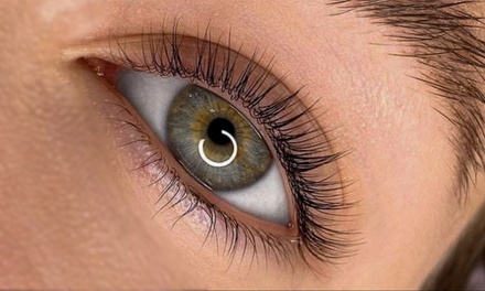 One Eyelash Tinting and Lift Treatment - ell consultation