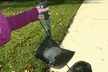 Peek-A-Poo Dog Waste Bag - Second Medium