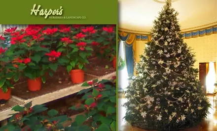 $20 for $40 Worth of Plants at Harper's Nursery & Landscape - Primary Image
