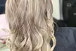 Highlights, Lowlights, Multi-Color or Single Color + Haircut & Style at Crown and Curl - Up to 30% Off - Second Medium
