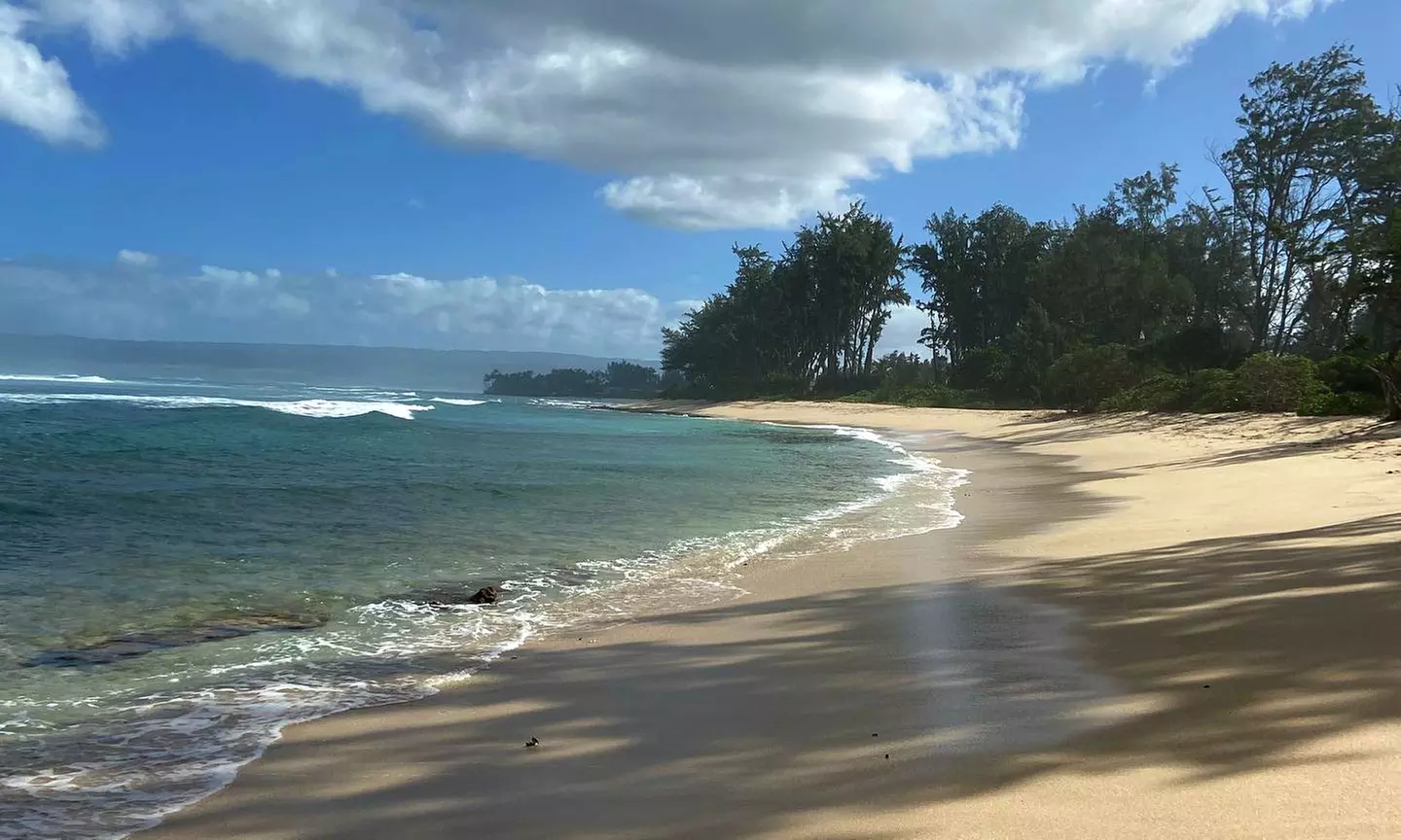 Group or Private Fishing Tour for Two or Four People